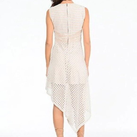 BCBG Max Azria Tracie Asymmetrical Hi Lo Lace Dress  Bare Pink Nude Sz Small - Picture 2 of 9